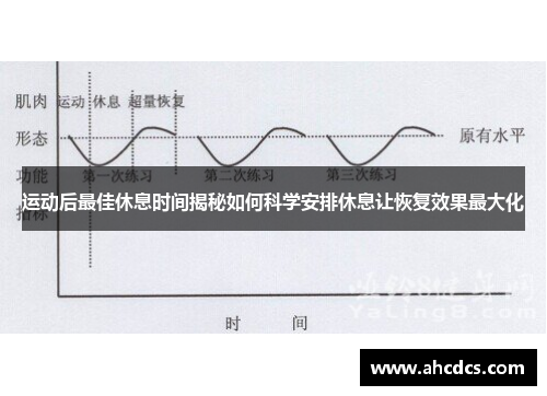 运动后最佳休息时间揭秘如何科学安排休息让恢复效果最大化