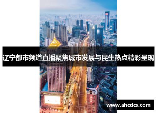 辽宁都市频道直播聚焦城市发展与民生热点精彩呈现