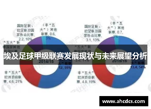 埃及足球甲级联赛发展现状与未来展望分析